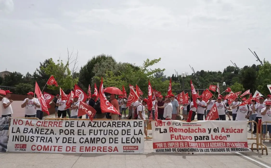 Azucarera (5)