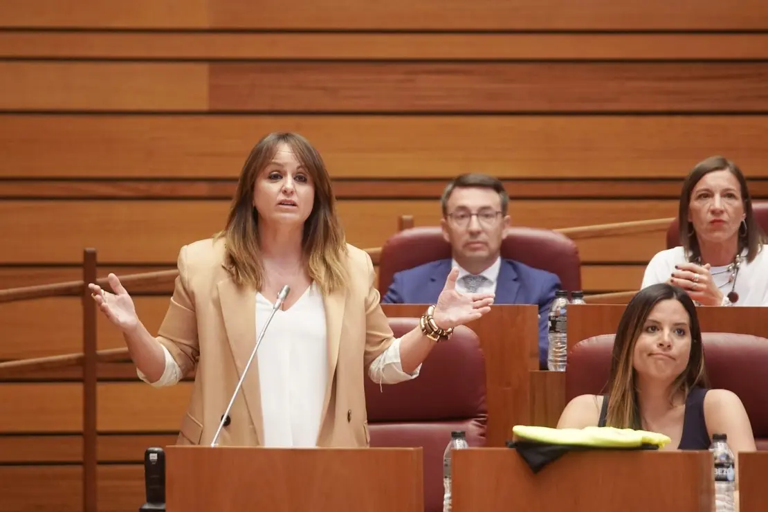 Pleno Cortes (1)