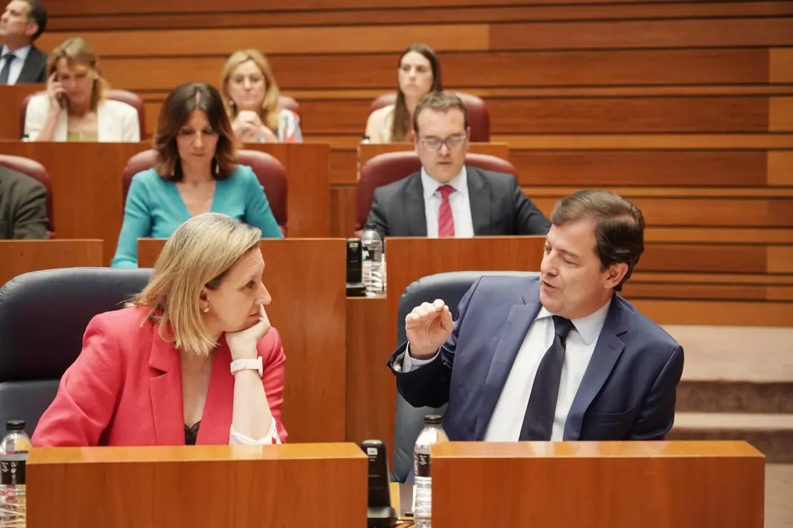 Pleno Cortes (3)