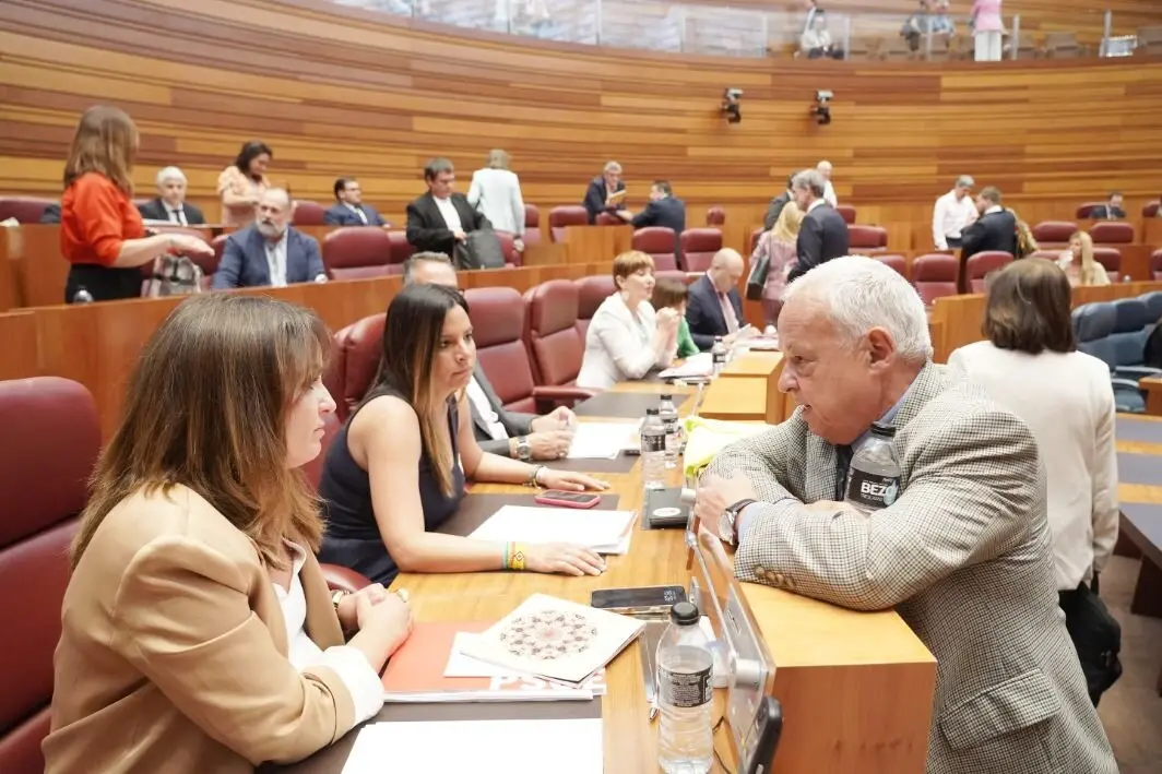 Pleno Cortes (4)