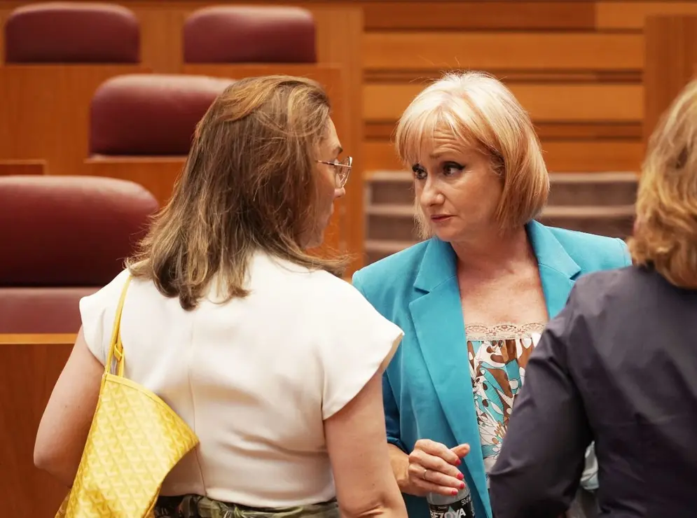 Pleno Cortes (6)