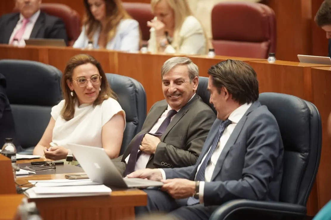 Pleno Cortes (17)