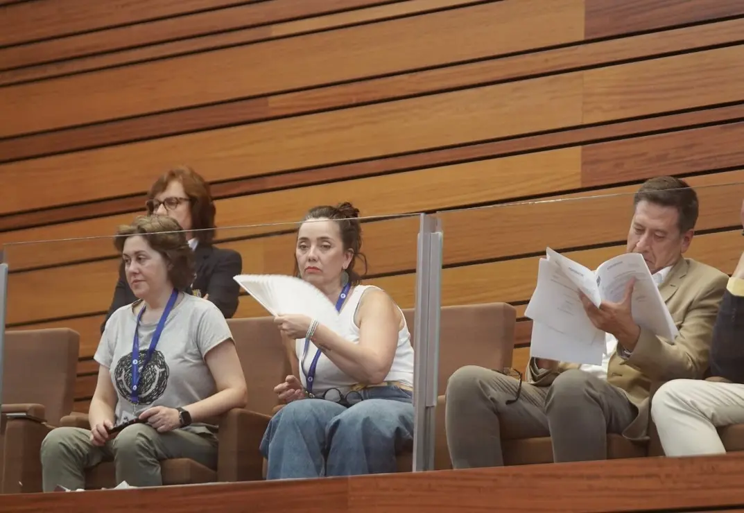 Pleno Cortes (19)