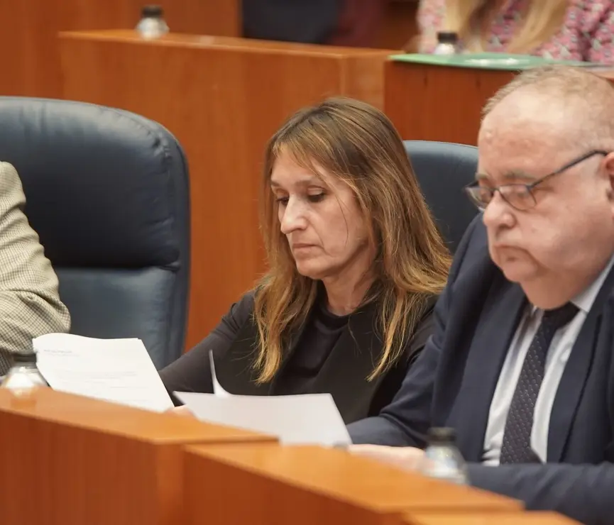 Pleno Cortes (25)