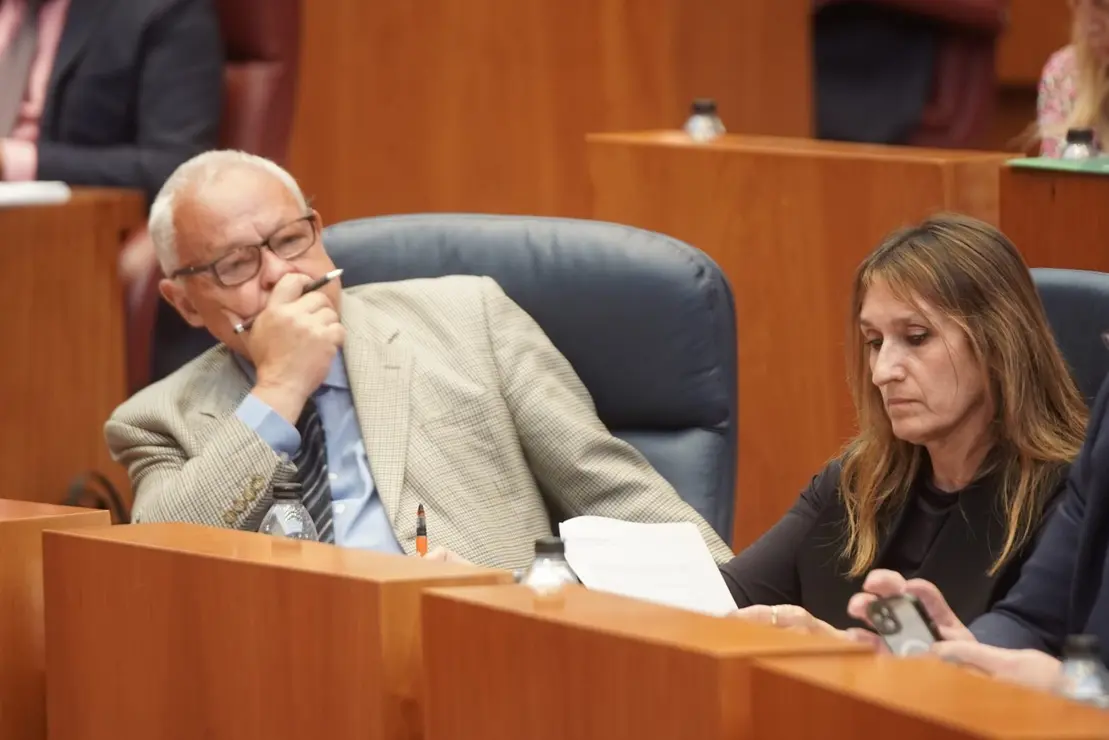 Pleno Cortes (26)