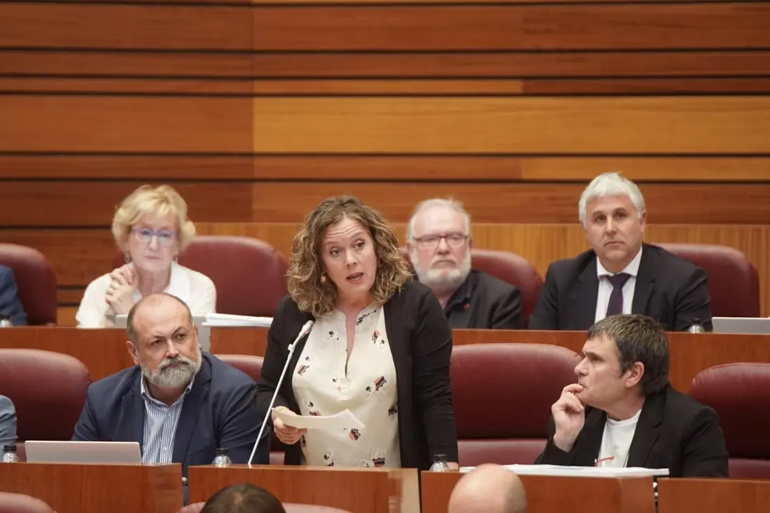 Pleno Cortes (27)