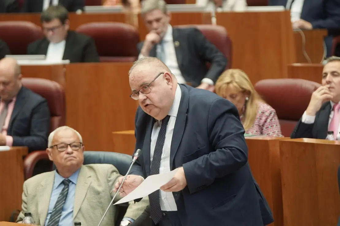 Pleno Cortes (28)