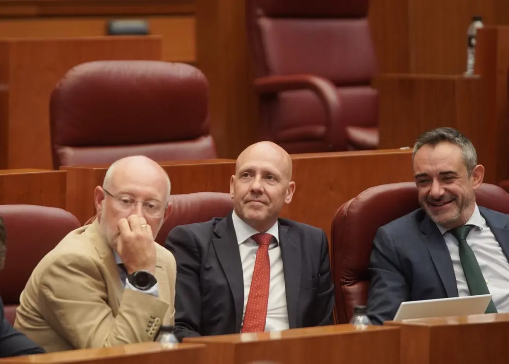 Pleno Cortes (29)