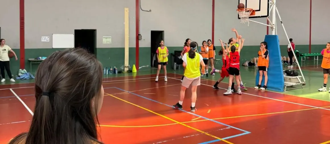 BASKET 01