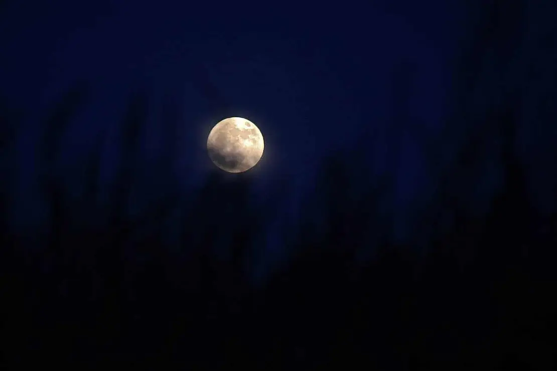 La precesión nodal de la Luna hace que esta noche se alce a menor altura de lo habitual, un ciclo que no volverá hasta dentro de 19 años