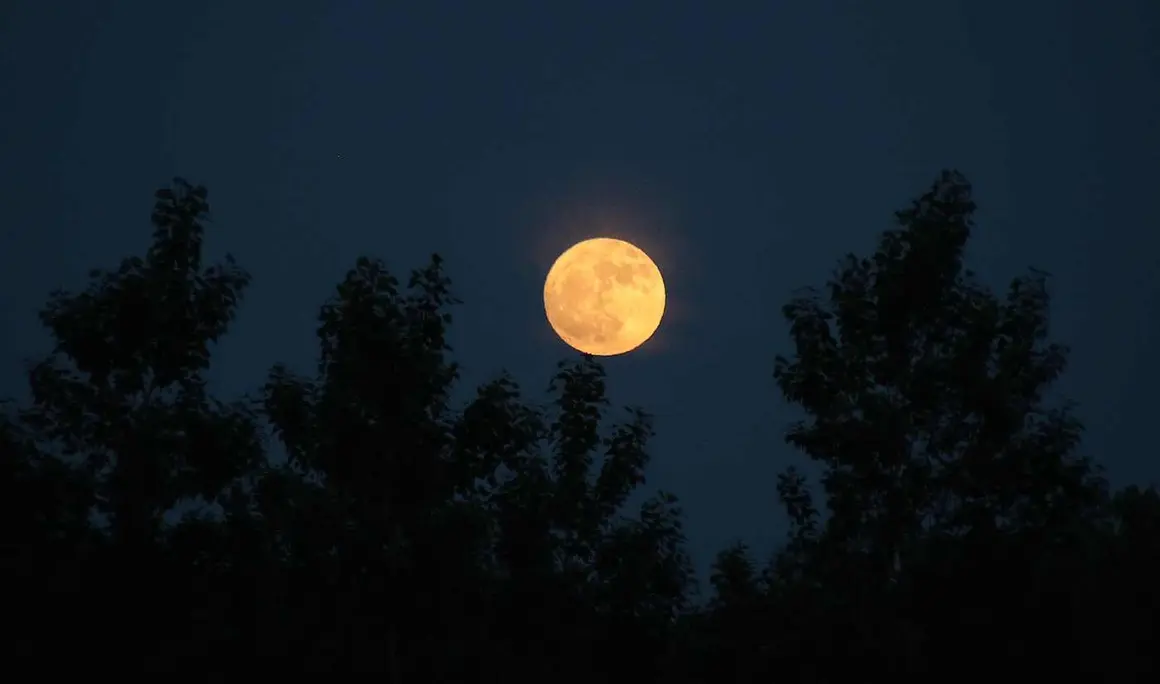 La precesión nodal de la Luna hace que esta noche se alce a menor altura de lo habitual, un ciclo que no volverá hasta dentro de 19 años