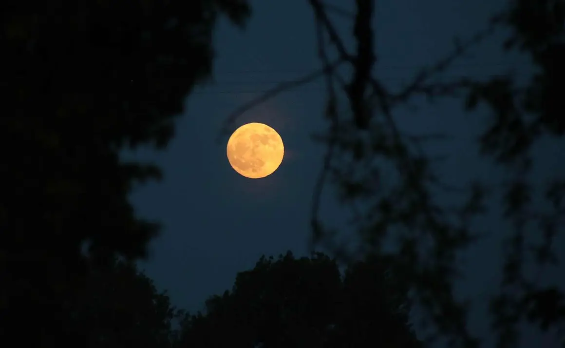 La precesión nodal de la Luna hace que esta noche se alce a menor altura de lo habitual, un ciclo que no volverá hasta dentro de 19 años