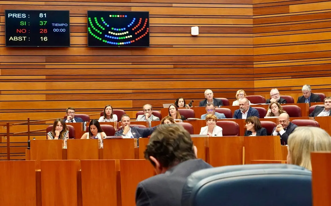 Votación en el Pleno de las Cortes de Castilla y León