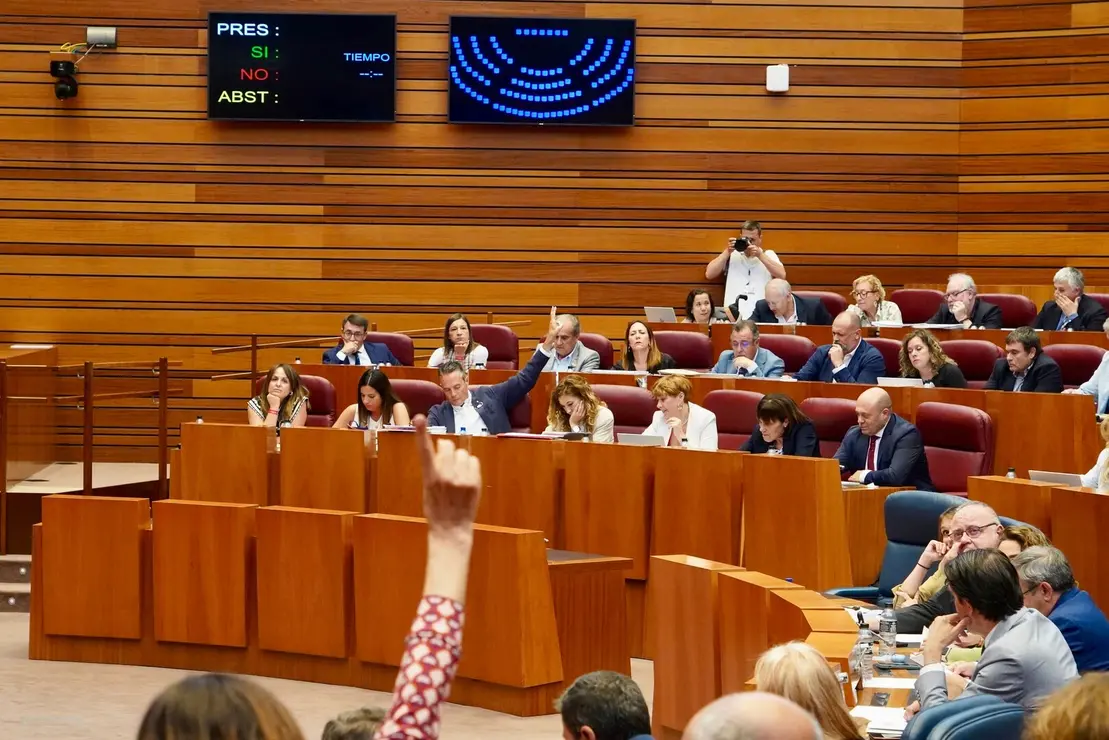 Votación en el Pleno de las Cortes de Castilla y León.