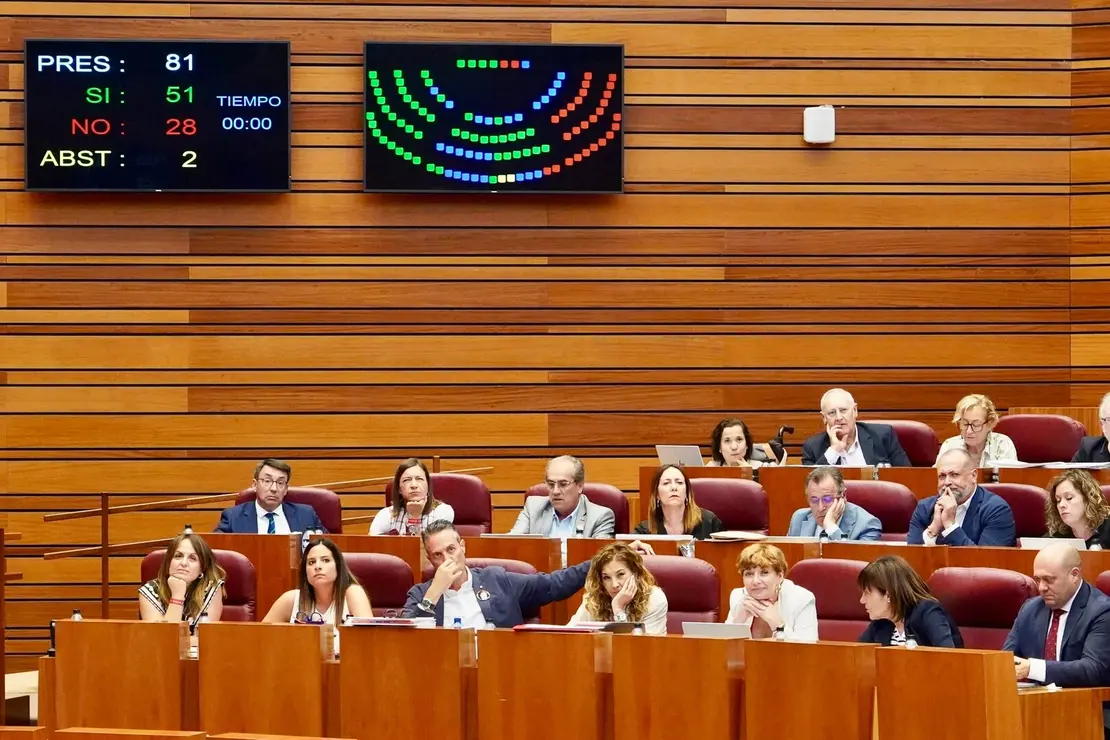 Votación en el Pleno de las Cortes de Castilla y León