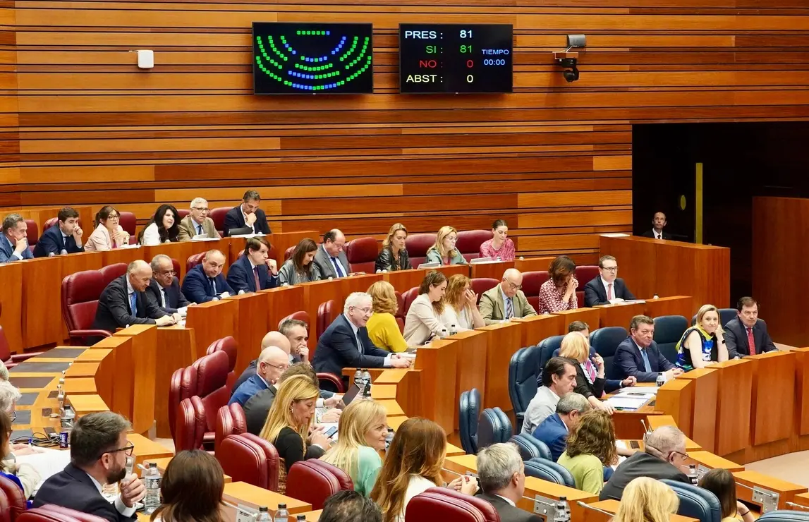 Votación en el Pleno de las Cortes de Castilla y León