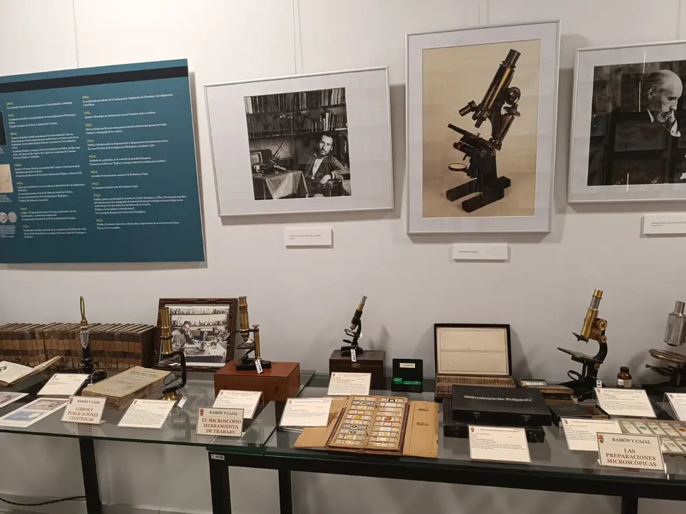 Ramón y Cajal 14