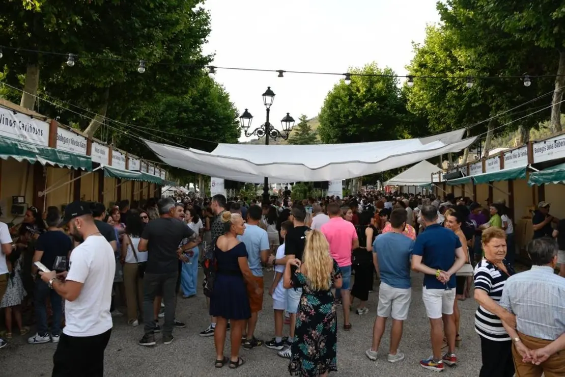 Primera jornada del Festival Musicavino en Villafranca del Bierzo