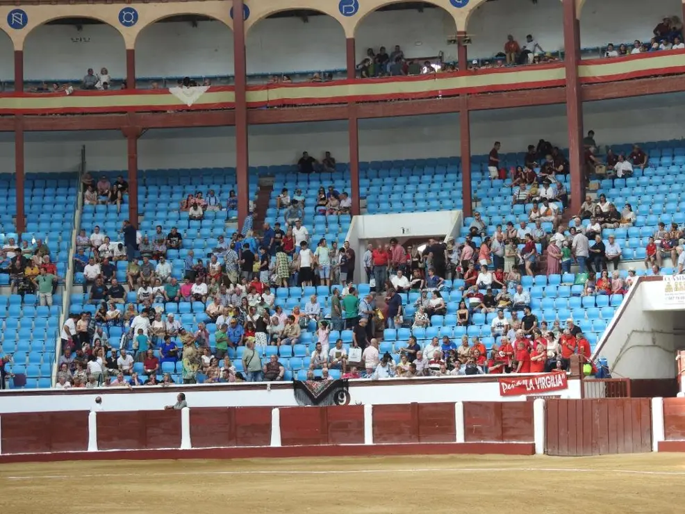 Toros (12)
