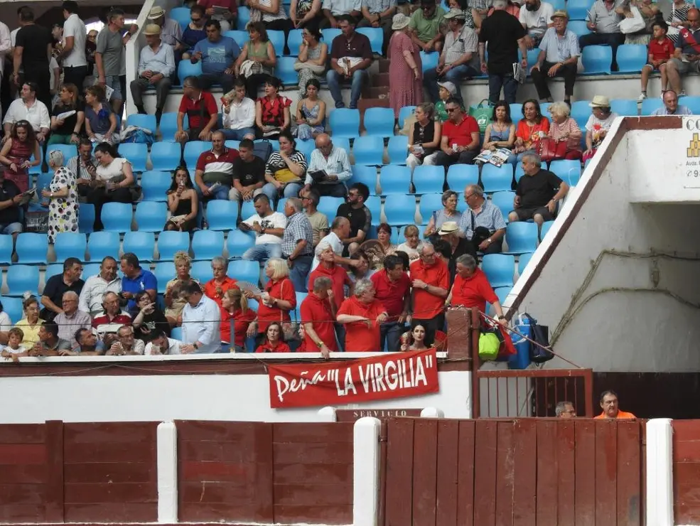 Toros (13)