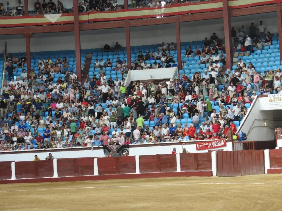 Toros (15)