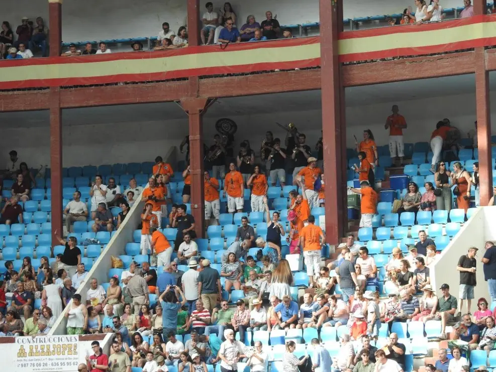 Toros (16)