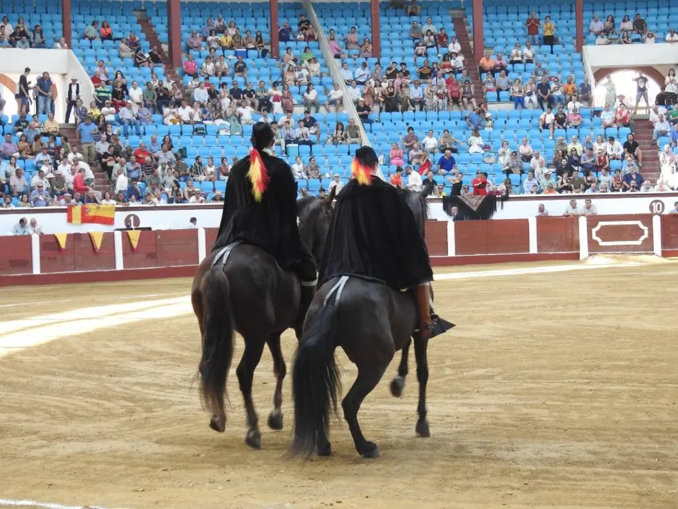 Toros (18)