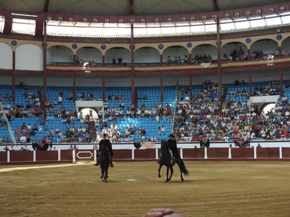 Toros (19)