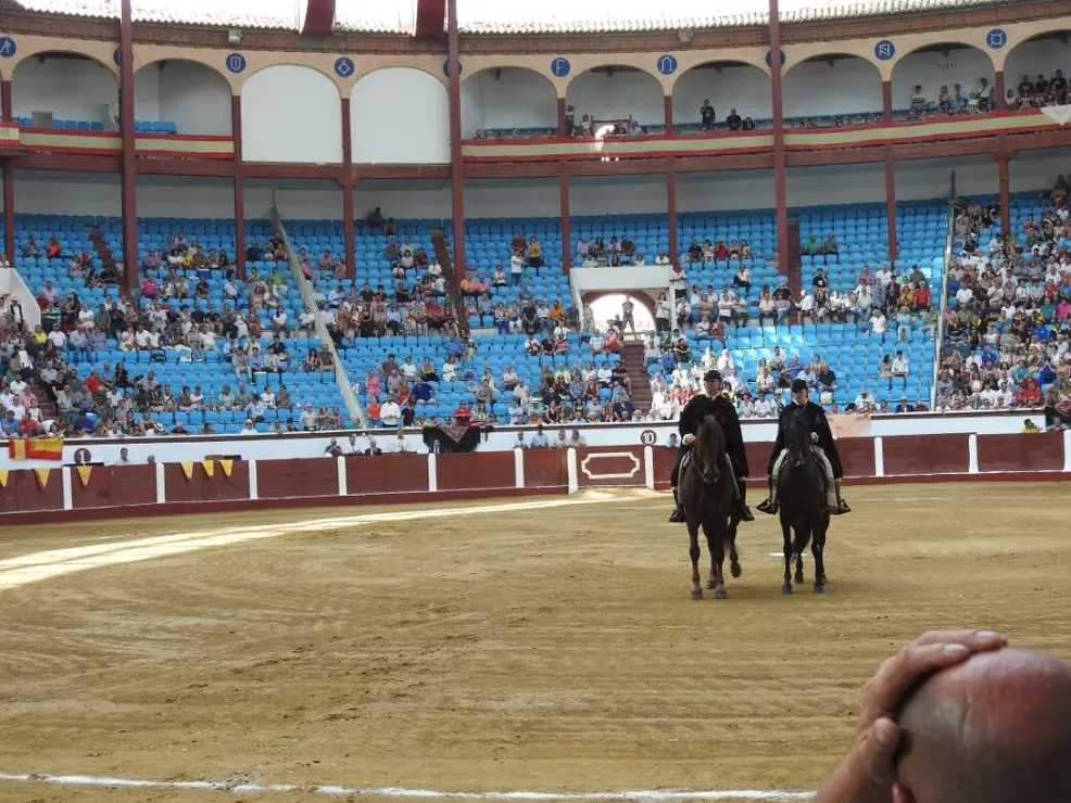 Toros (20)