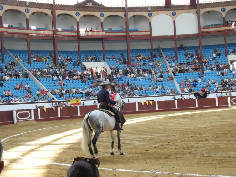 Toros (21)
