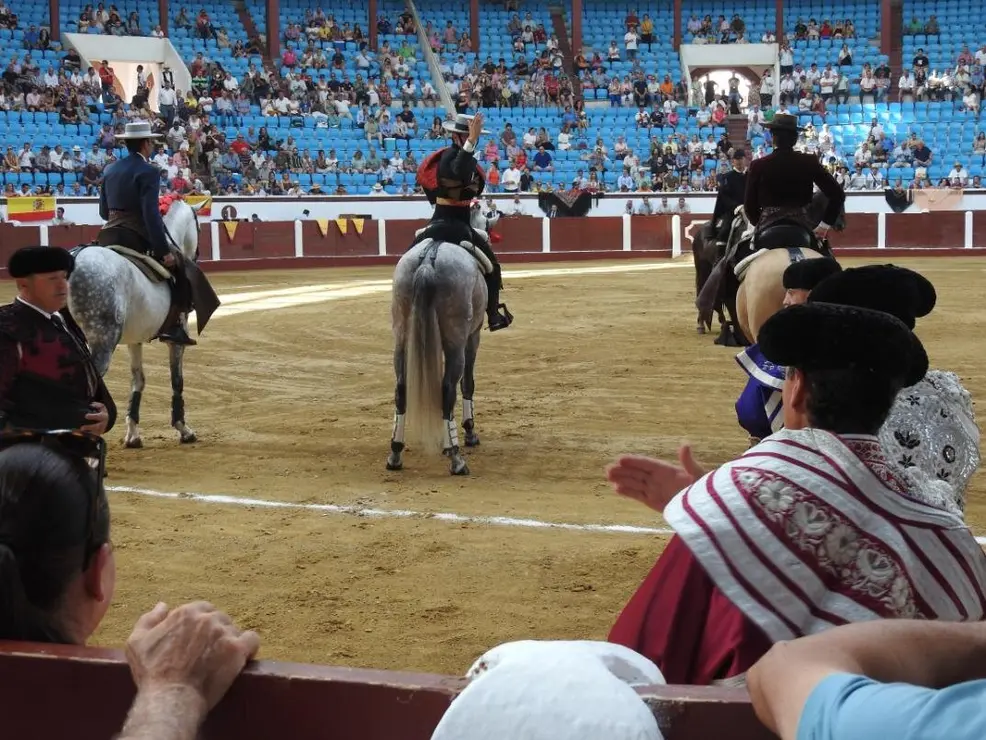 Toros (25)