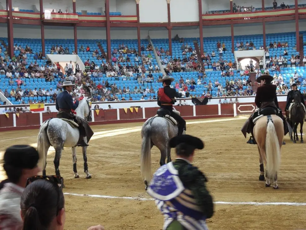 Toros (24)