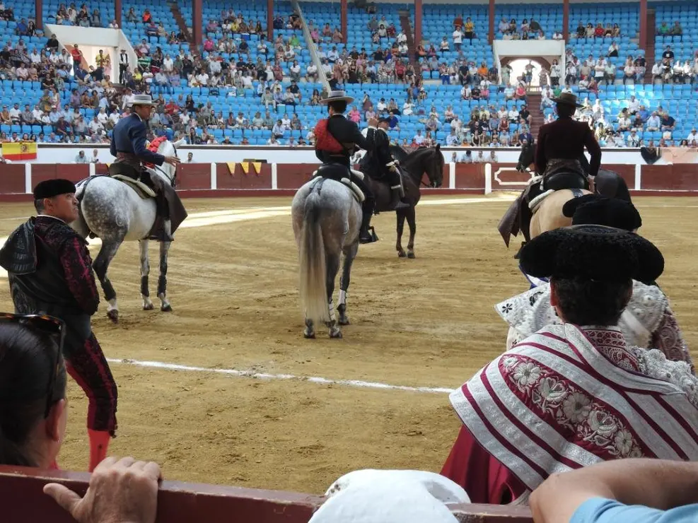 Toros (26)