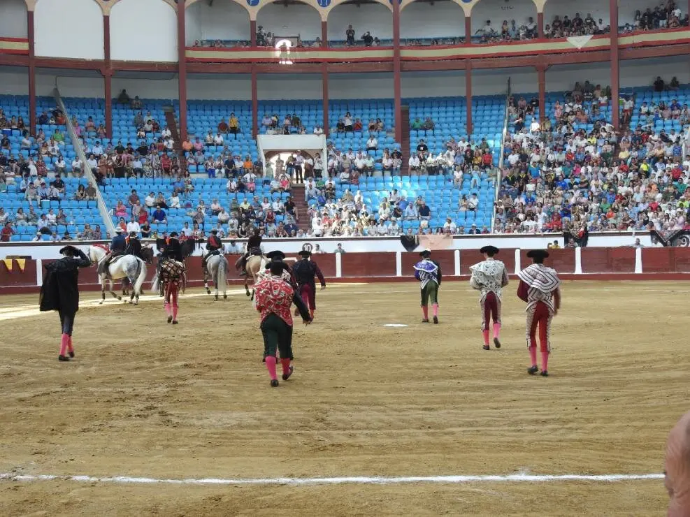 Toros (27)
