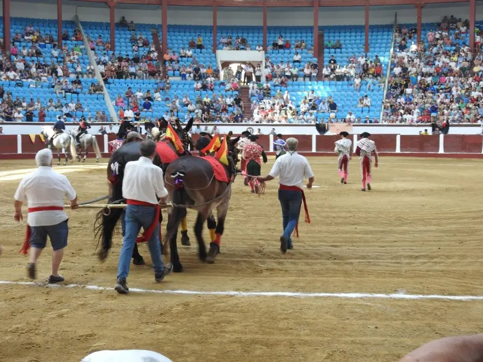 Toros (28)