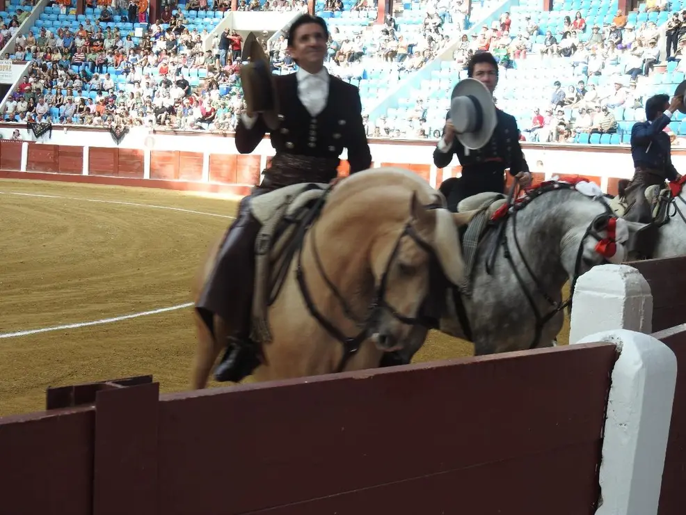 Toros (29)