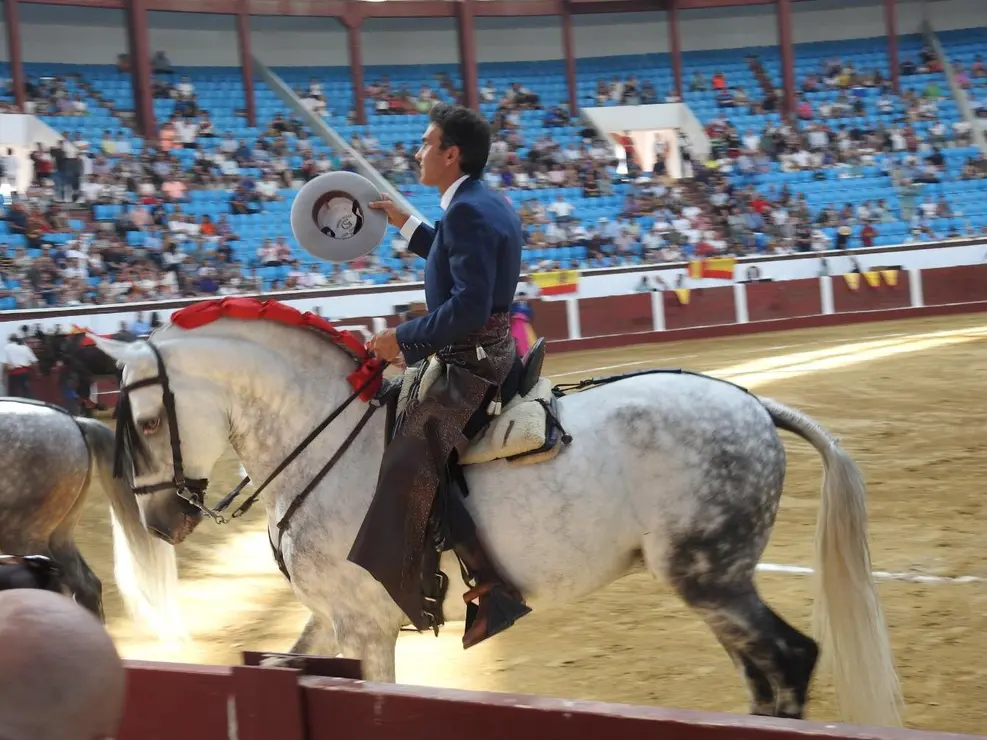 Toros (31)
