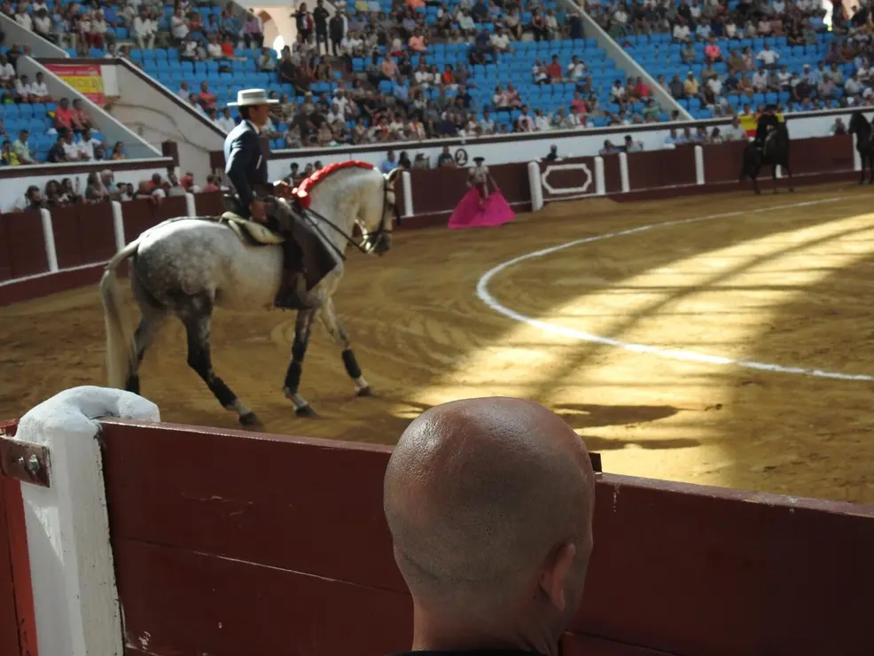 Toros (32)