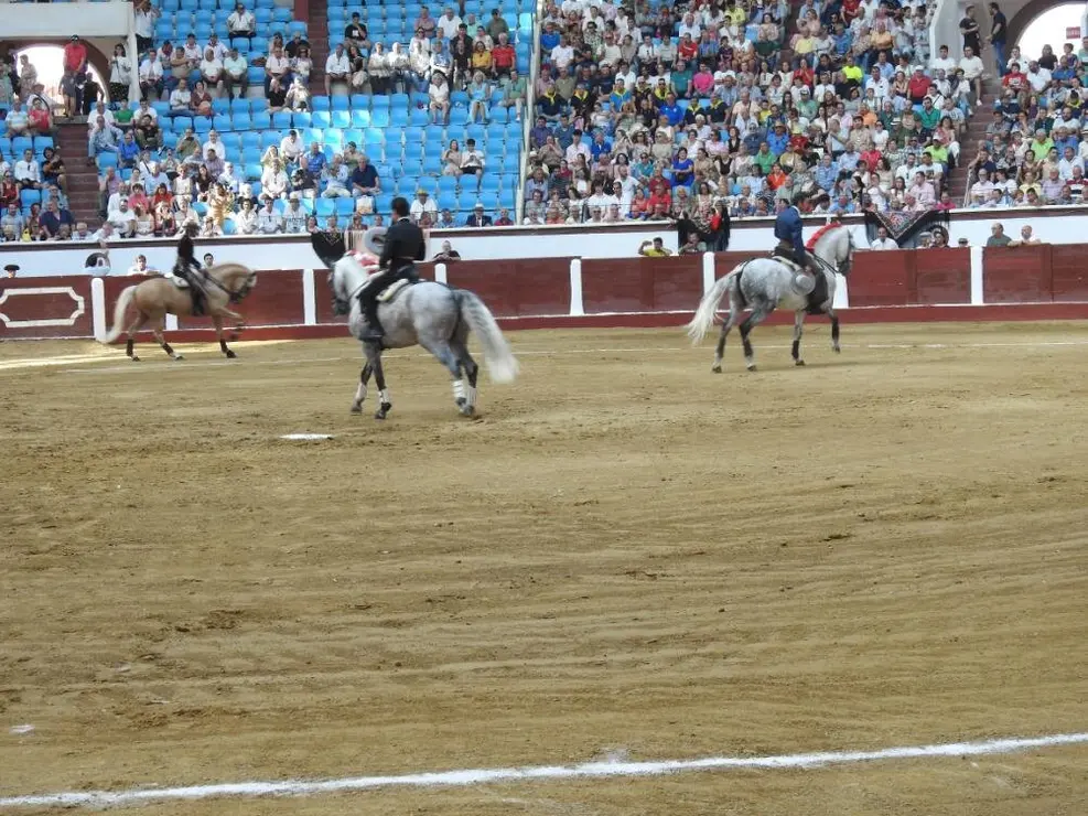 Toros (38)