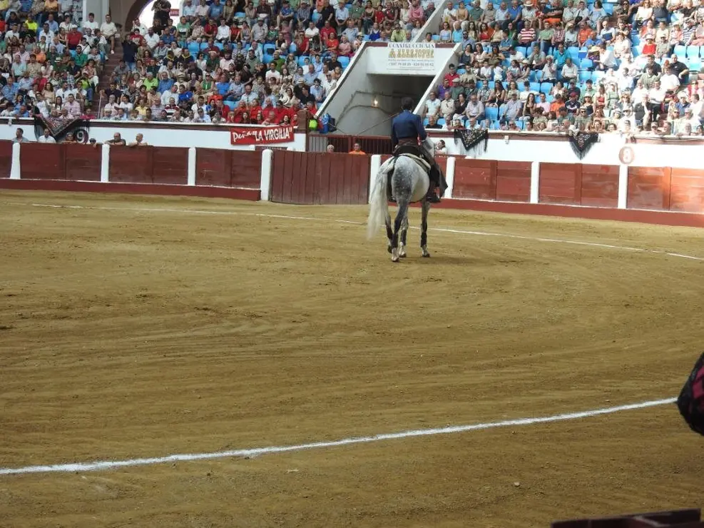 Toros (39)