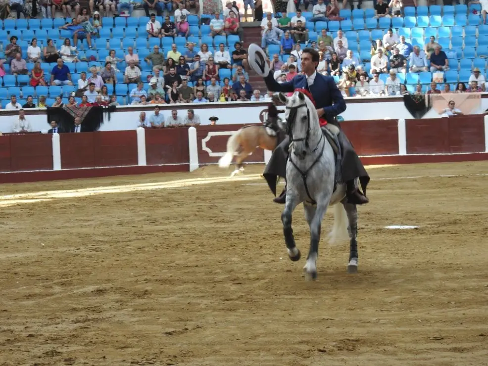 Toros (41)