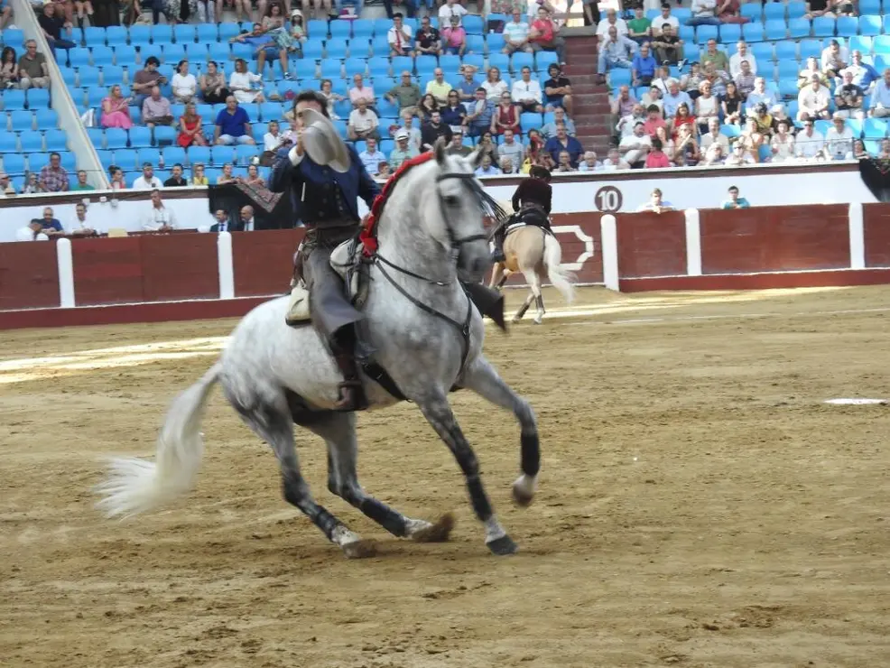 Toros (42)