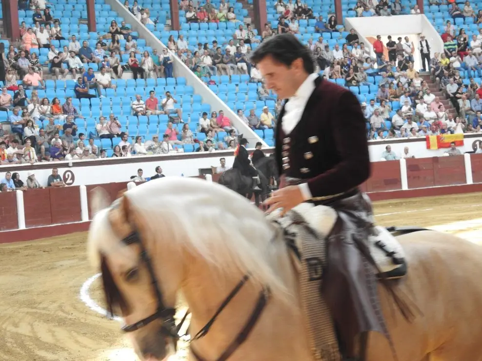 Toros (43)