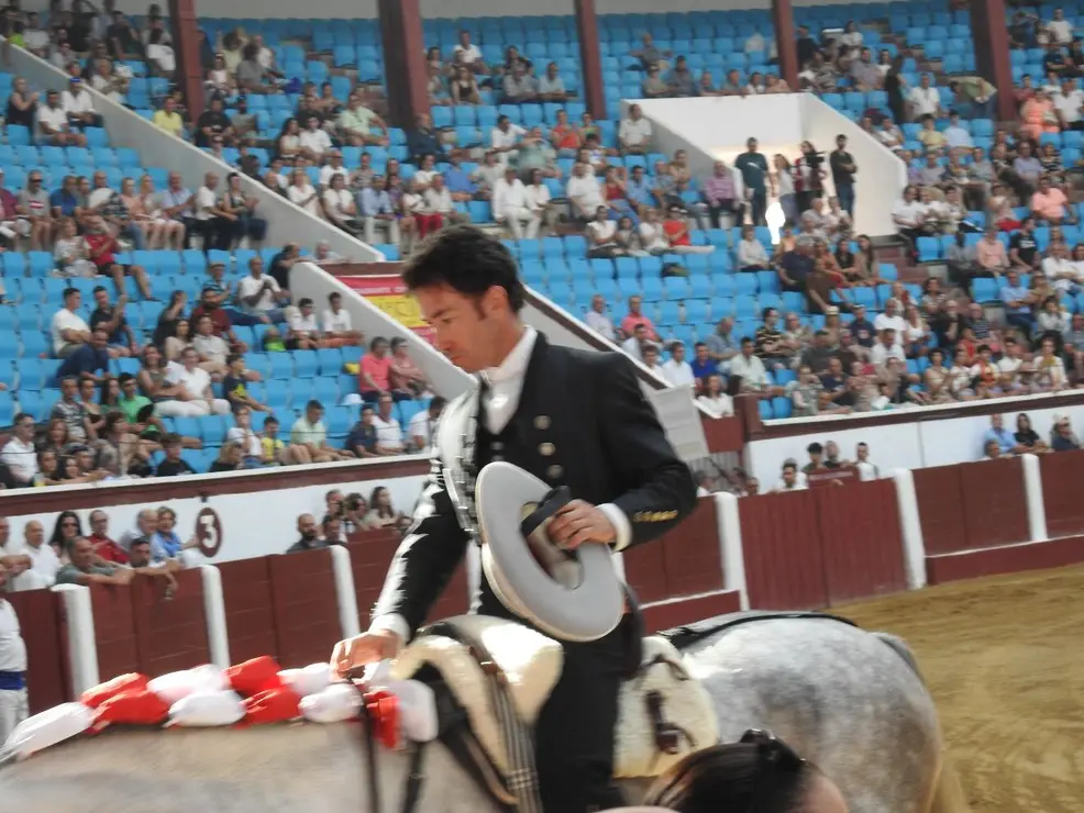 Toros (45)
