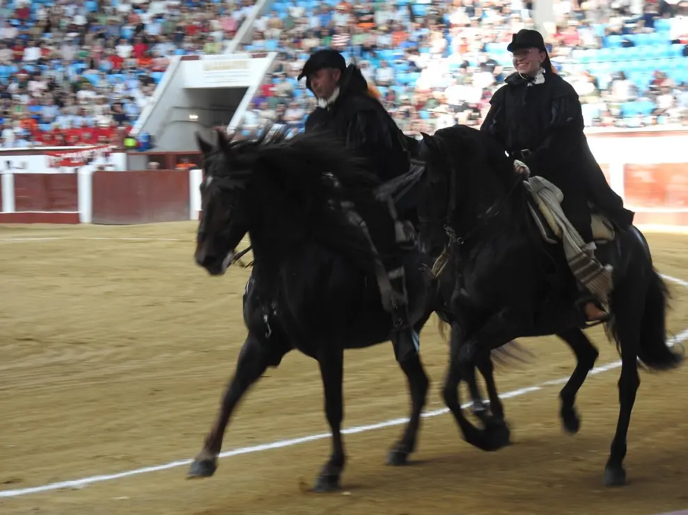 Toros (46)