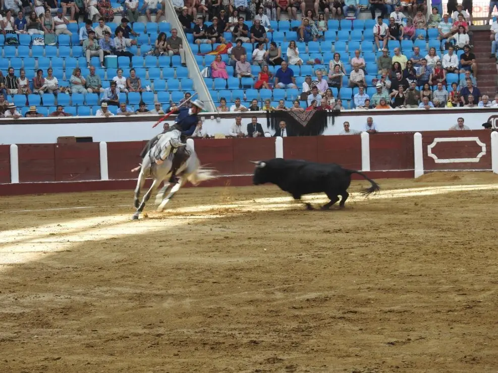 Toros (53)