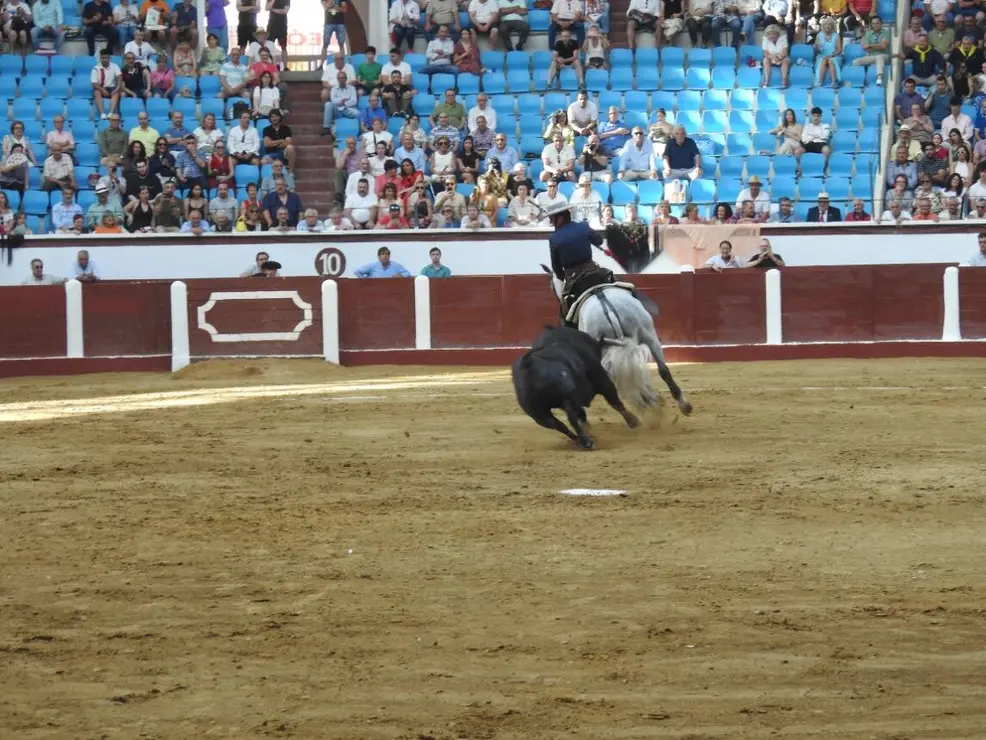 Toros (54)