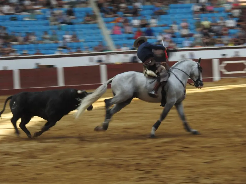 Toros (56)