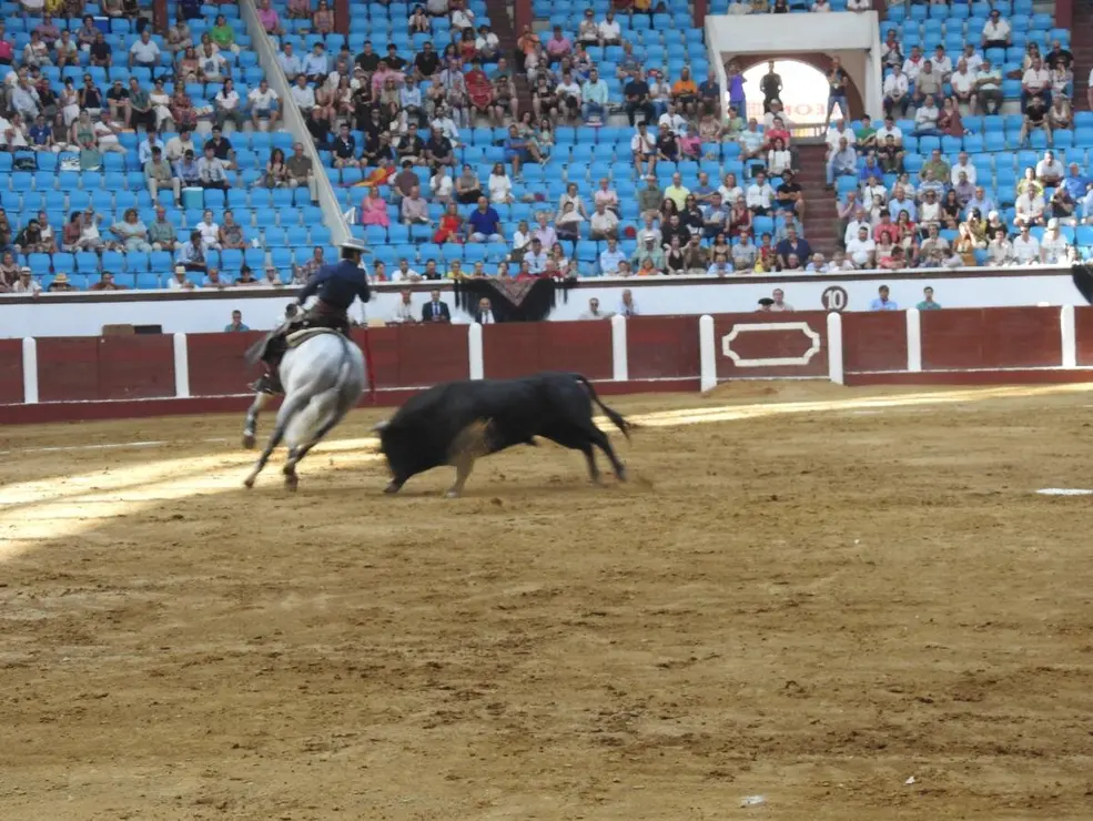 Toros (57)