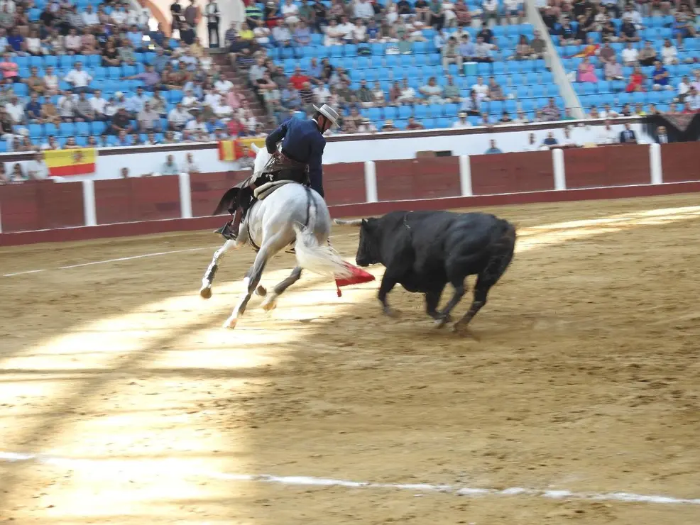 Toros (59)